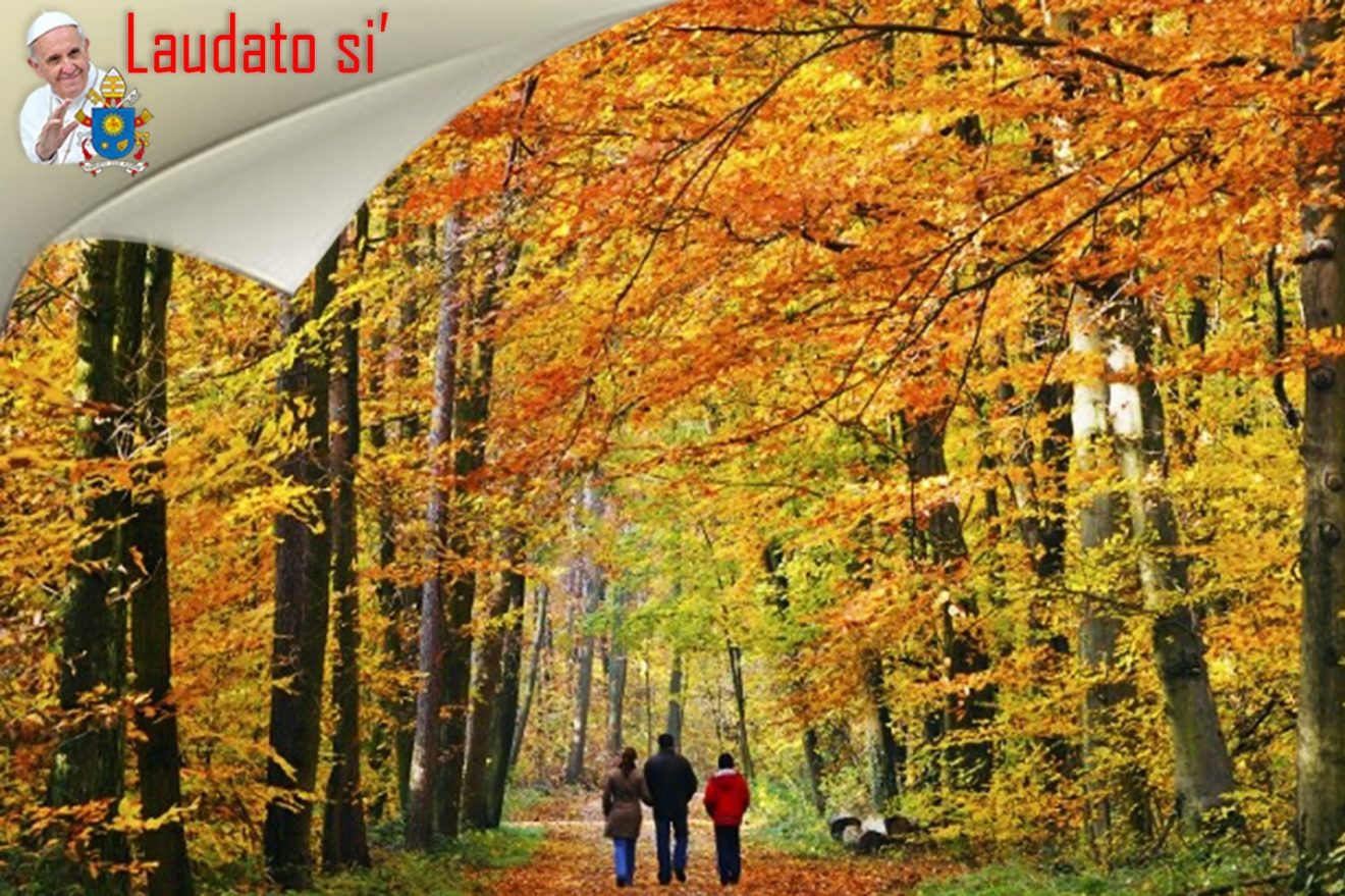 Ponte Valleceppi semina speranza
