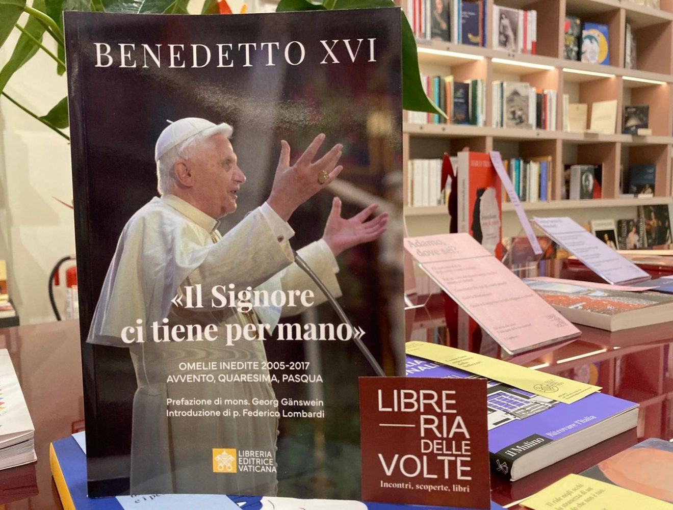 Una fede che accompagna