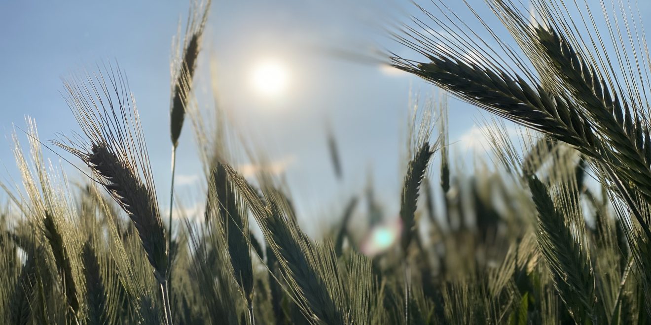 Quella fame di ragioni di vita