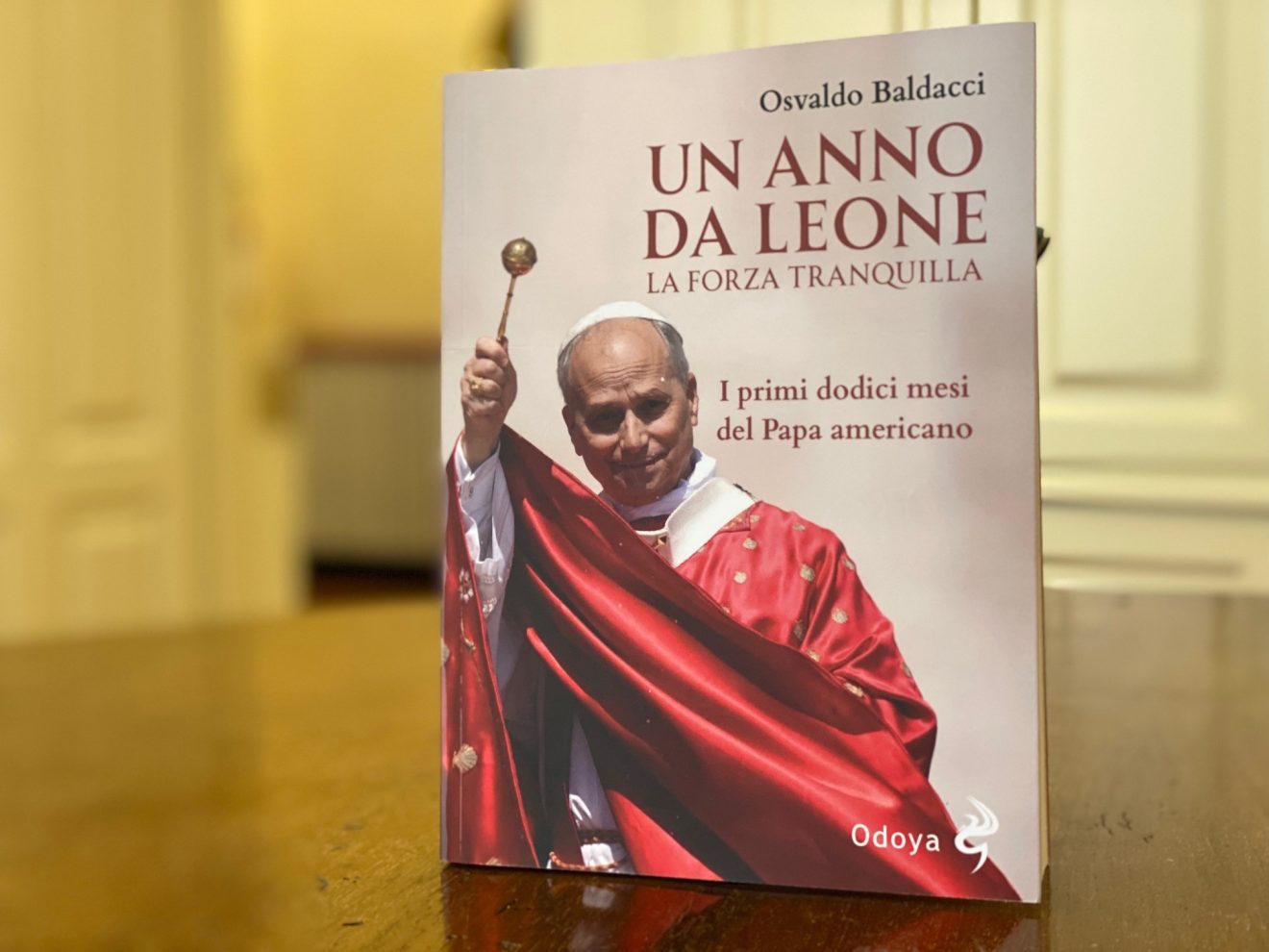 Un anno da Leone